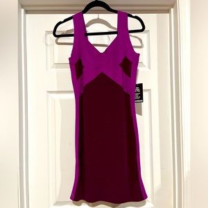 Express Bodycon Dress